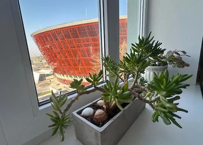 Green Amber Apartment
